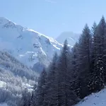 In - Tirol 717 Schmirn