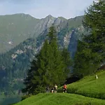 In - Tirol 717 *